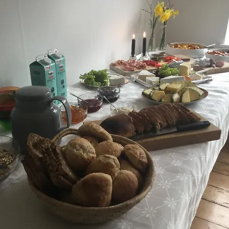 فندق مبيت وإفطار Gammel Skole *