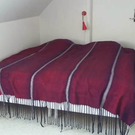 Gammel Skole فندق مبيت وإفطار Pillemark